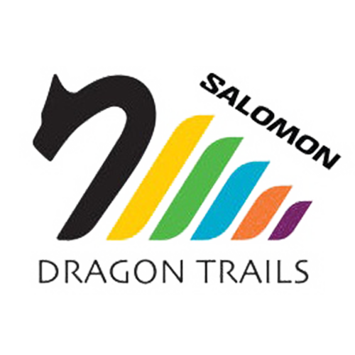 logo_dragon_trails_png.png